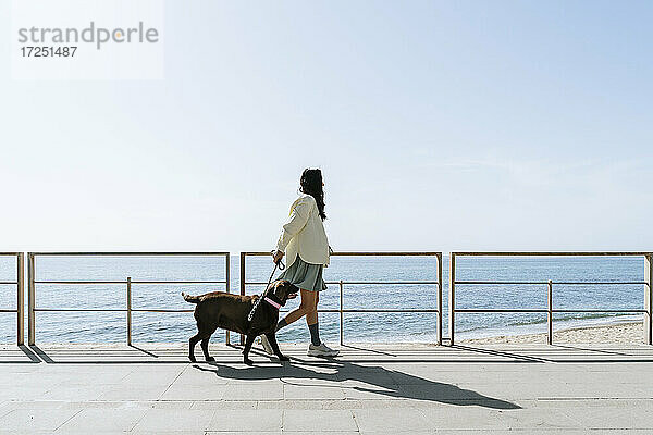Mittlere erwachsene Frau  die mit ihrem Labrador-Hund an einem Geländer am Strand spazieren geht  während eines sonnigen Tages