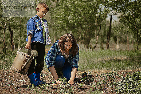 Sohn hält Gießkanne  während Mutter Setzlinge im Hinterhof pflanzt
