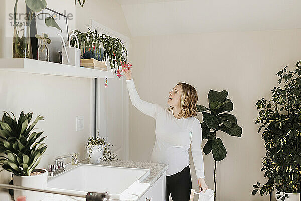 Vorsichtige Frau berührt Topfpflanze auf einem Regal zu Hause
