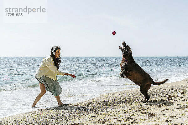 Frau und Labradorhund spielen am Wochenende mit Ball am Strand