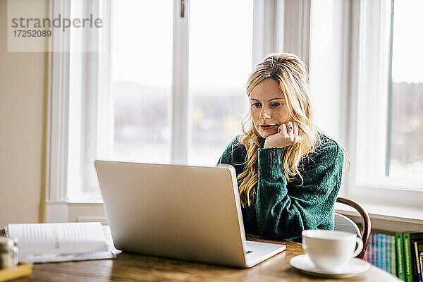 Weibliche Fachkraft  die im Büro sitzend einen Laptop benutzt