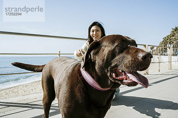 Frau mit Labrador-Hund am Geländer am Strand an einem sonnigen Tag