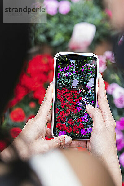 Frau fotografiert Blumen in einer Gärtnerei