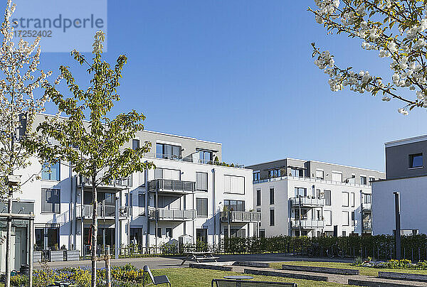 Deutschland  Nordrhein-Westfalen  Köln  Moderne Wohnblocks mit Balkonen und gemeinschaftlichem Gartenbau