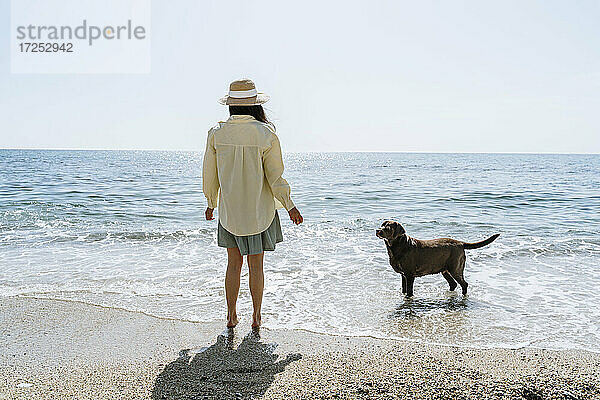 Hund schaut Frau an  die an einem sonnigen Tag an der Küste steht
