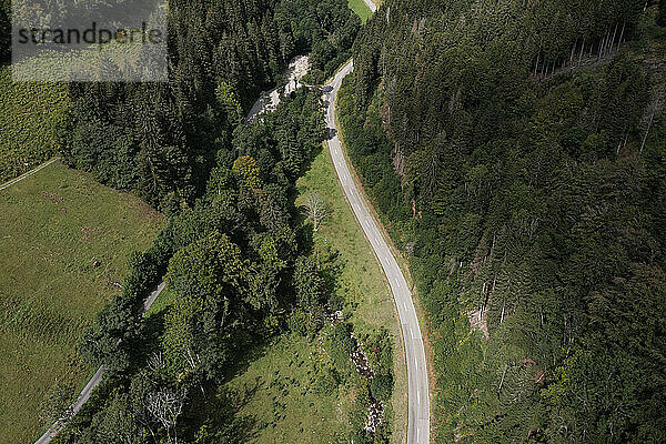 Drohnenansicht einer Landstraße  die sich über eine grüne Waldlandschaft im Schwarzwald erstreckt
