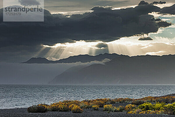 Neuseeland  Canterbury  Kaikoura  Dramatischer Himmel über ruhigem Meer