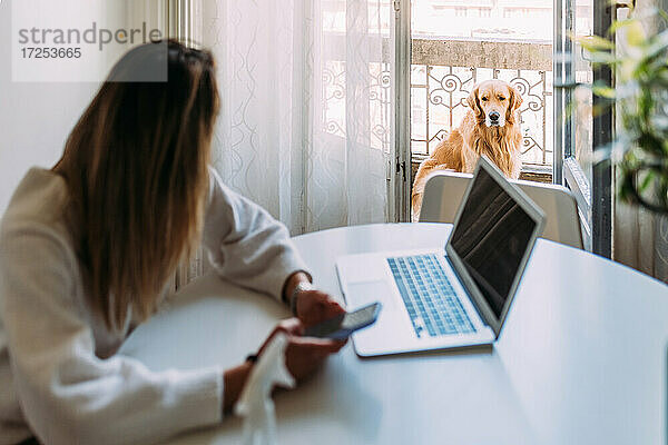 Italien  Junge Frau mit Hund zu Hause