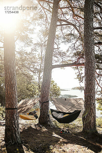 Leere Hängematten hängen an Baumstämmen im Wald an einem sonnigen Tag
