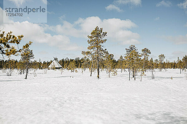 Hütte inmitten von Bäumen auf Schnee im Winter