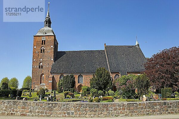 Historische Nikolai-Kirche in Burg auf Fehmarn  Insel Fehmarn  Schleswig-Holstein  Deutschland  Europa