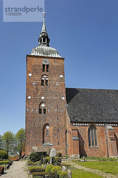 Historische Nikolai-Kirche in Burg auf Fehmarn  Insel Fehmarn  Schleswig-Holstein  Deutschland  Europa