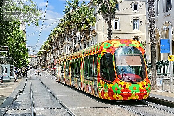 Alstom Citadis Straßenbahn Tram Tramway de Montpellier ÖPNV öffentlicher Nahverkehr an der Haltestelle Gares in Montpellier  Frankreich  Europa