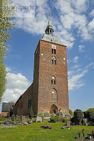 Historische Nikolai-Kirche in Burg auf Fehmarn  Insel Fehmarn  Schleswig-Holstein  Deutschland  Europa