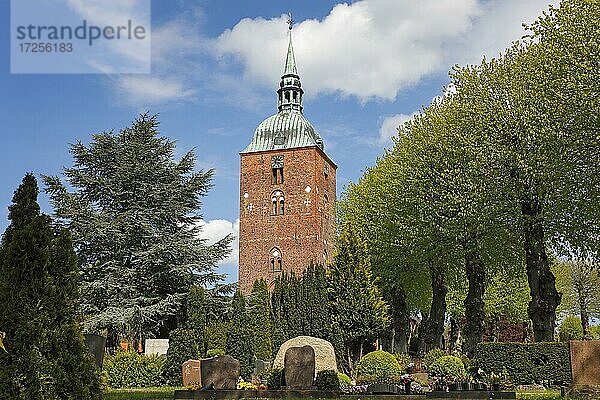 Historische Nikolai-Kirche und Friedhof in Burg auf Fehmarn  Insel Fehmarn  Schleswig-Holstein  Deutschland  Europa