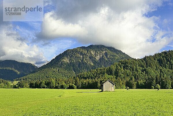 Ausblick von den Lorettowiesen zum Berg Himmelschrofen 1759 m bei tiefziehenden Wolken  Oberstdorf  Allgäuer Alpen  Allgäu  Bayern  Deutschland  Europa