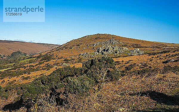 Felder und Wiesen in Haytor Rocks  Dartmoor Park  Devon  England  Vereinigtes Königreich