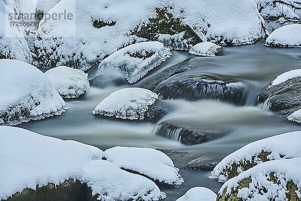 Eiszapfen am Wildfluss im Naturschutzgebiet Hölle  Bayern  Deutschland  Europa