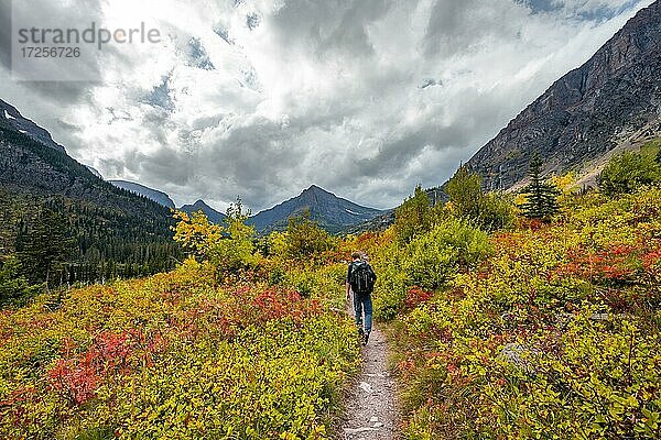 Wanderer auf einem Wanderweg durch Berglandschaft  Gebüsch in Herbstfarben  Wanderung zum Upper Two Medicine Lake  Glacier Nationalpark  Montana  USA  Nordamerika