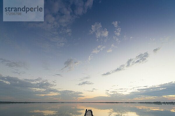 Bootssteg vor Abendhimmel am Nordostufer des Dümmer Dümmersee Dümmer See  Niedersachsen  Deutschland  Europa