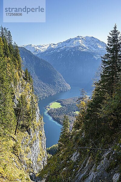 Panoramablick auf den Königssee vom Rinnkendlsteig  Wanderung zur Achenkanzel  herbstlicher Wald und schneebedeckte Berge  Nationalpark Berchtesgaden  Berchtesgadener Land  Oberbayern  Bayern  Deutschland  Europa