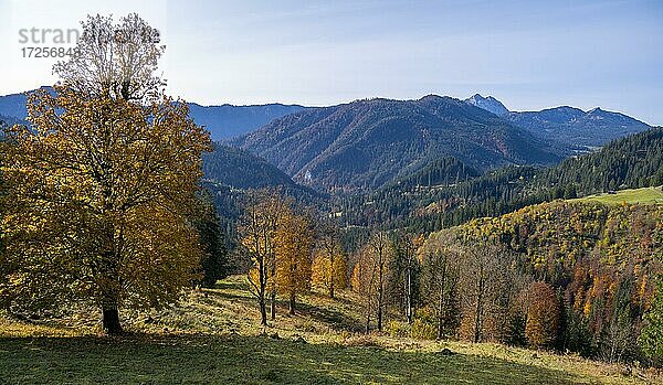 Herbstliche Berglandschaft  Voralpenland  Oberbayern  Bayern  Deutschland  Europa