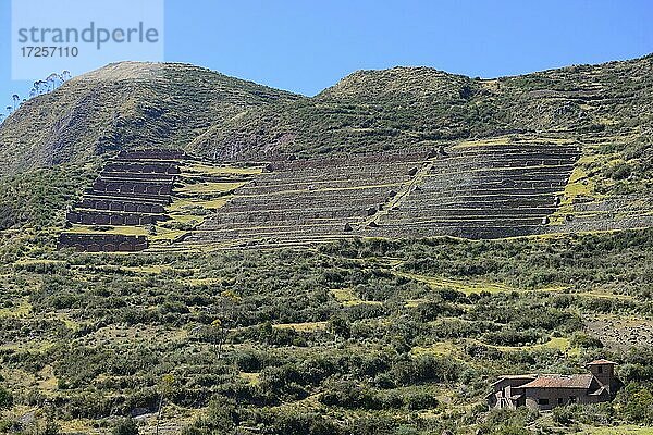 Gemauerte Terassen der Inka  Chinchero  Region Cusco  Provinz Urubamba  Peru  Südamerika