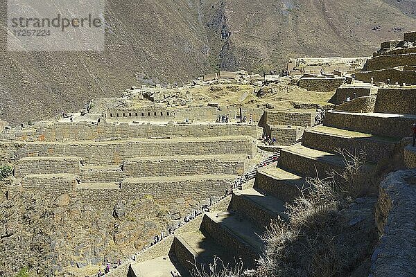 Terrassen der Ruinenanlage der Inka  Ollantaytambo  Region Cusco  Provinz Urubamba  Peru  Südamerika
