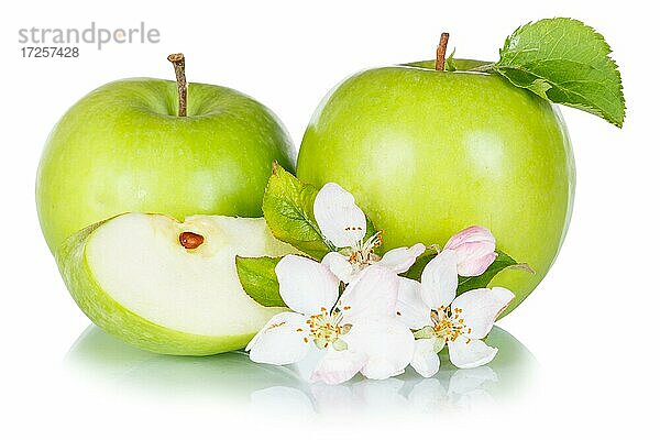 Äpfel Früchte grün Apfel Frucht mit Blüten und Blättern Freisteller freigestellt isoliert  Deutschland  Europa