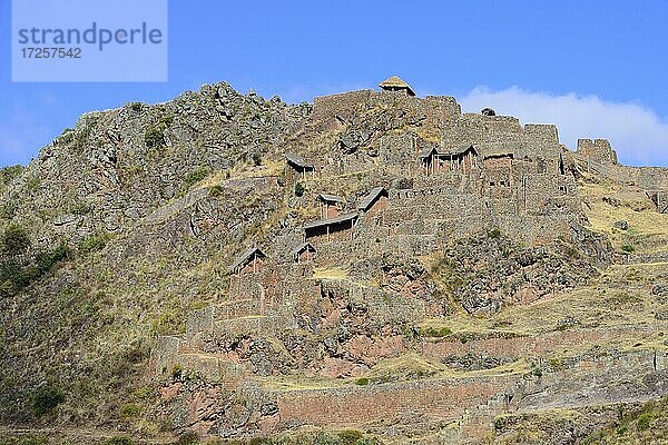 Ruinenanlage der Inka  Pisac  Region Cusco  Provinz Urubamba  Peru  Südamerika