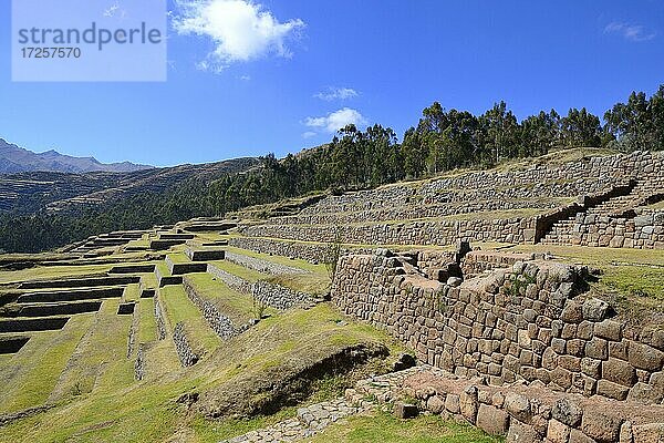 Gemauerte Terassen der Inka  Chinchero  Region Cusco  Provinz Urubamba  Peru  Südamerika