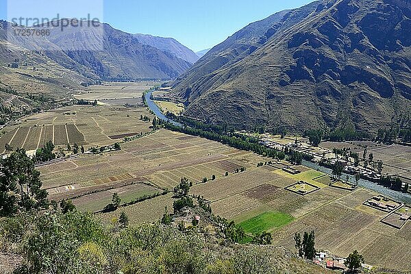 Abgeerntete Felder im Valle Sagrado am Rio Urubamba  Pisac  Region Cusco  Provinz Urubamba  Peru  Südamerika