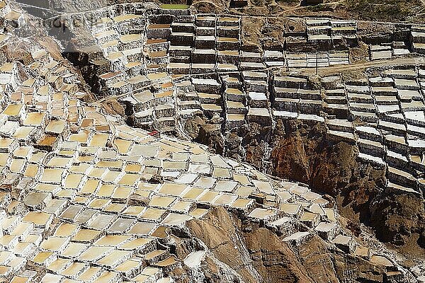 Terrassen zur Salzgewinnung  Salinas de Maras  Valle Sagrada  Provinz Urubamba  Peru  Südamerika
