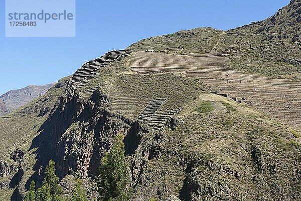 Gemauerte Terrassen in der Ruinenanlage der Inka  Pisac  Region Cusco  Provinz Urubamba  Peru  Südamerika