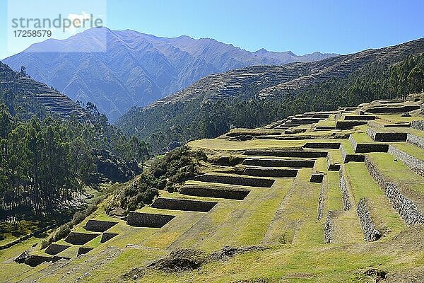 Gemauerte Terassen der Inka  Chinchero  Region Cusco  Provinz Urubamba  Peru  Südamerika