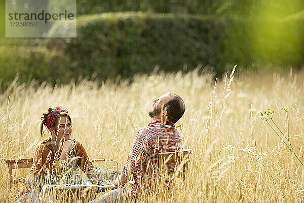 Glückliches Paar lachend am Tisch im Feld der sonnigen hohen Gras