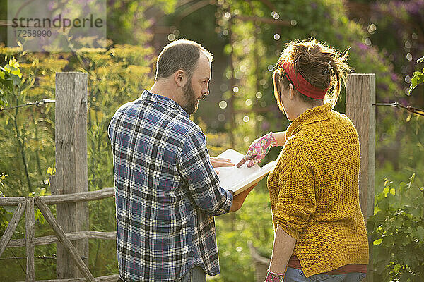 Paar mit Gartenarbeit Buch Planung in sonnigen Hinterhof