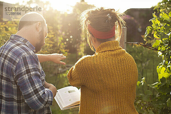 Ehepaar mit Gartenarbeit Buch Planung in sonnigen Sommer Hinterhof