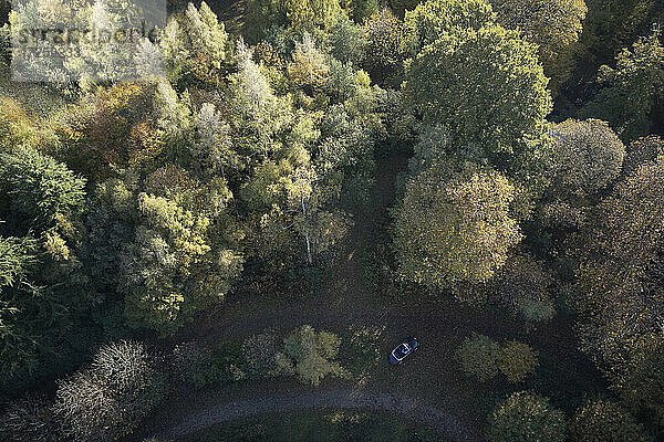 Luftaufnahme idyllische Herbstbaumkronen