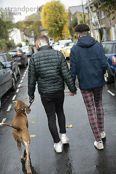 Homosexuelles männliches Paar hält sich an den Händen und geht mit dem Hund auf der nassen Straße spazieren