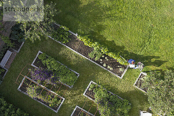 Blick von oben auf ein Paar im üppigen Gemüsegarten mit Hochbeeten