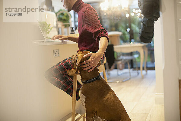 Hund beobachtet Mann Arbeit von zu Hause am Laptop in der Küche