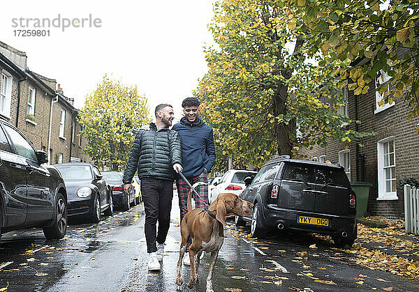 Homosexuell männliches Paar zu Fuß Hund an der Leine auf nassen Herbst Stadt Straße