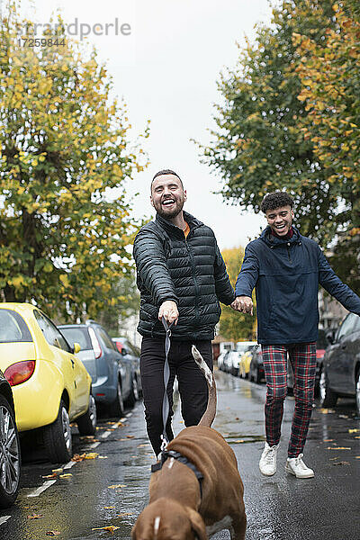 Glückliche Homosexuell männliches Paar zu Fuß Hund auf nassen Herbst Straße