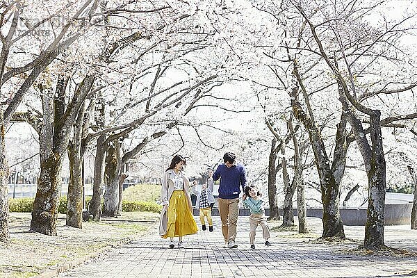 Japanische Familie und Kirschblüten