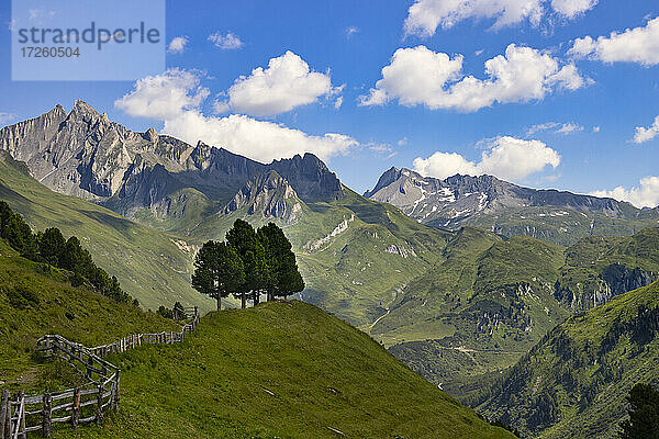 Ahrntal im Sommer  Dolomiten  Südtirol  Italien  Europa