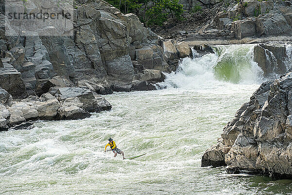 Ian Brown stand up paddle surft anspruchsvolles Wildwasser unterhalb der Great Falls des Potomac River  Grenze zwischen Virginia und Maryland  Vereinigte Staaten von Amerika  Nordamerika