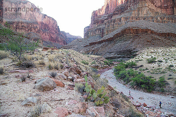 Wanderer gehen eine trockene Schlucht in einem Seitencanyon des Grand Canyon hinauf  Arizona  Vereinigte Staaten von Amerika  Nordamerika