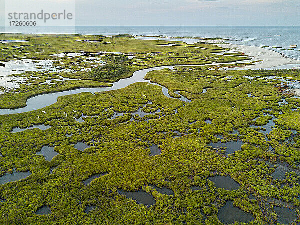 Salzwiesen der Chesapeake Bay und gewundene Bäche des Plumtree National Wildlife Refuge  Hampton  Virginia  Vereinigte Staaten von Amerika  Nordamerika