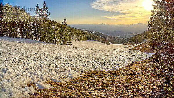 Die Hänge der Arizona Snow Bowl mit Blick nach Westen nahe dem Sonnenuntergang  Coconino National Forest in der Nähe von Flagstaff  Arizona  Vereinigte Staaten von Amerika  Nordamerika